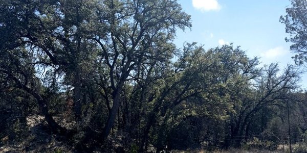 Listing image 127316-0