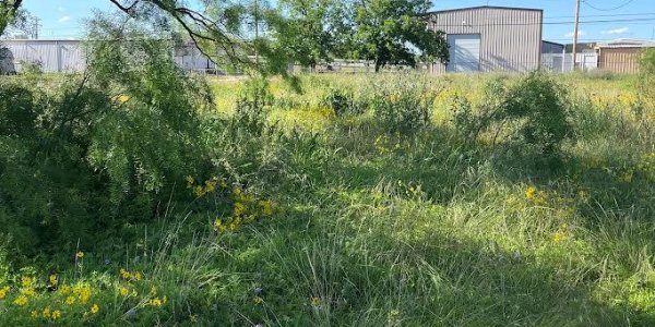 Listing image 127319-0
