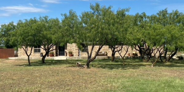 Listing image 127460-0