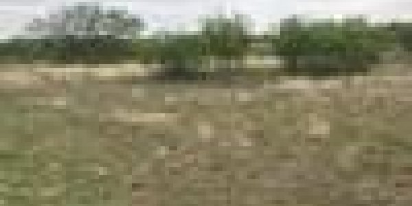 Listing image 98702-0